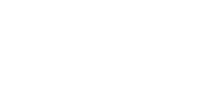 IE business school logo