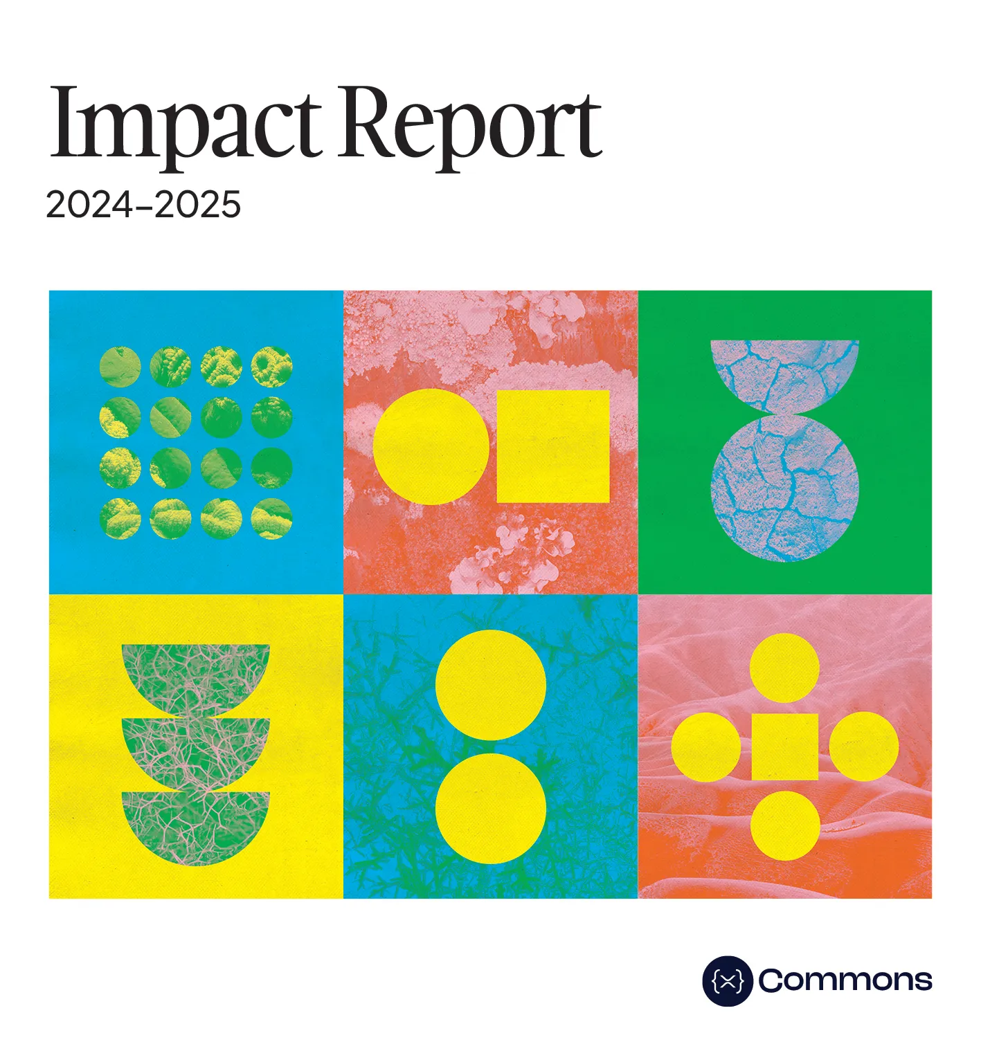 2024-2025